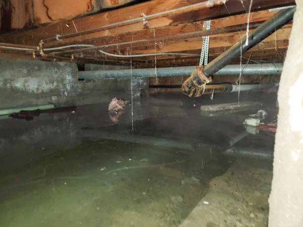 Best Water damage repair service  in Pantego, TX