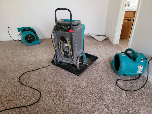 Trusted Pantego, TX Water damage restoration Experts