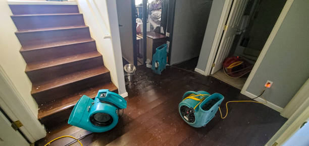 Best Sewage cleanup and water damage restoration  in Pantego, TX
