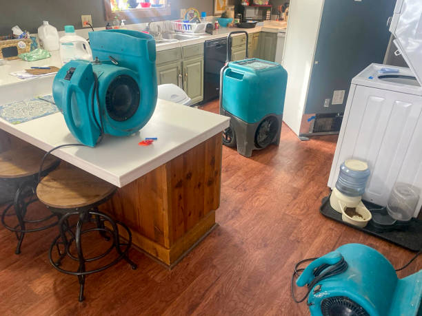 Best Water damage contractors near me  in Pantego, TX
