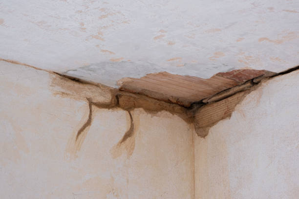 Best Fire Damage Restoration  in Pantego, TX