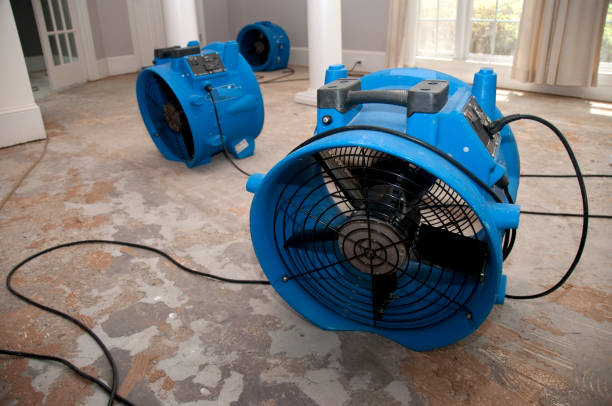 Best Water damage restoration near me  in Pantego, TX