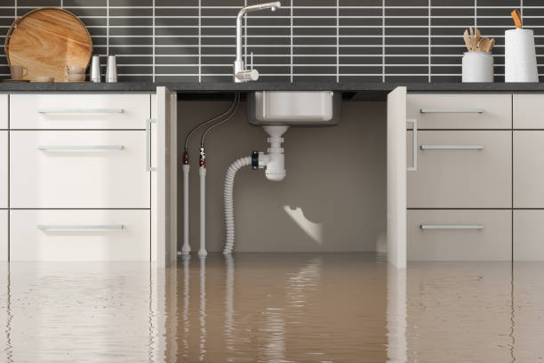 Best Commercial water damage restoration  in Pantego, TX