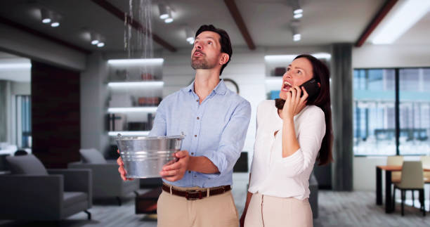 Best Carpet water damage restoration  in Pantego, TX